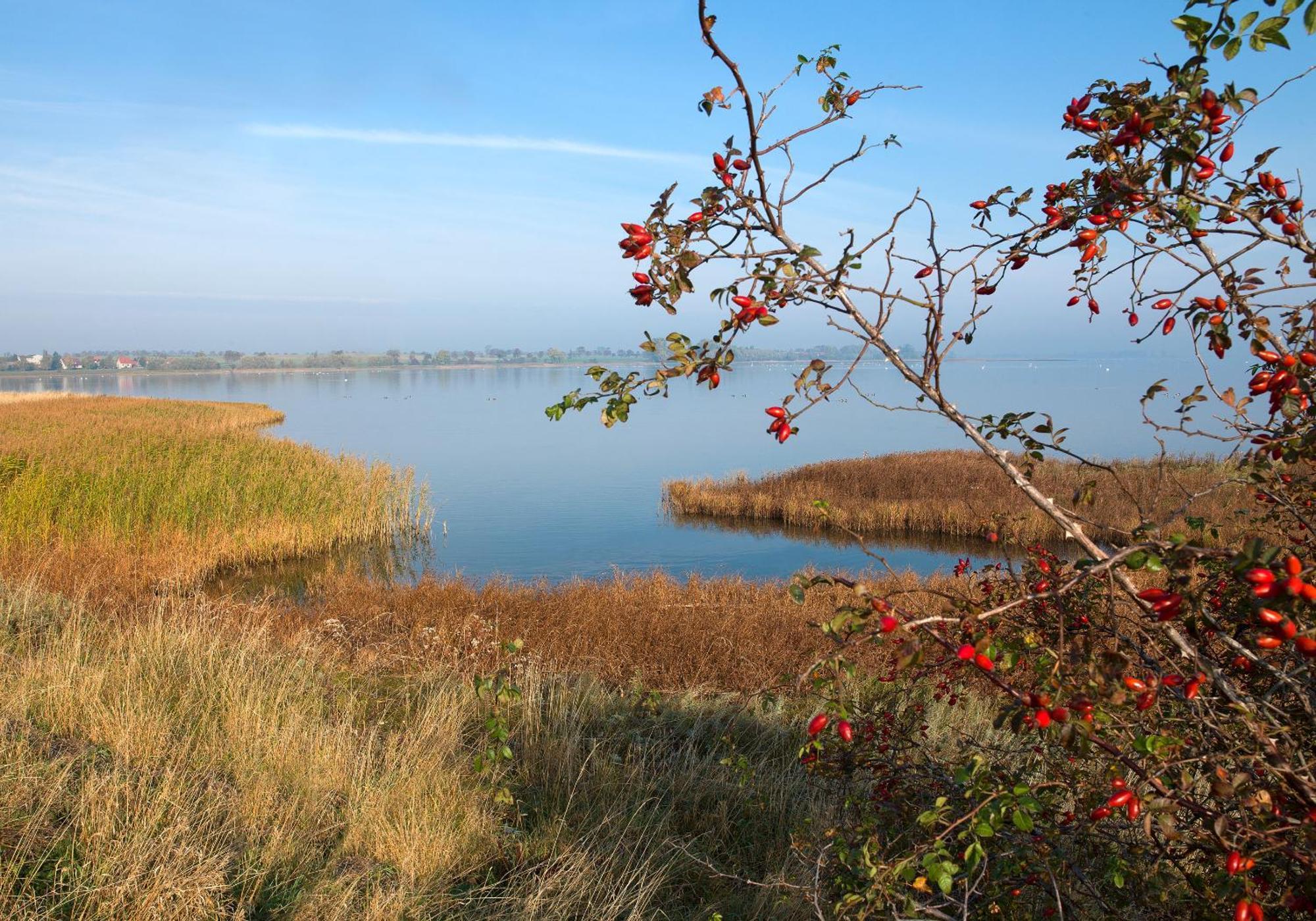 Daenische Ferienhaeuser Am Salzhaff Haus Vogelparadies Insel Poel Exterior photo
