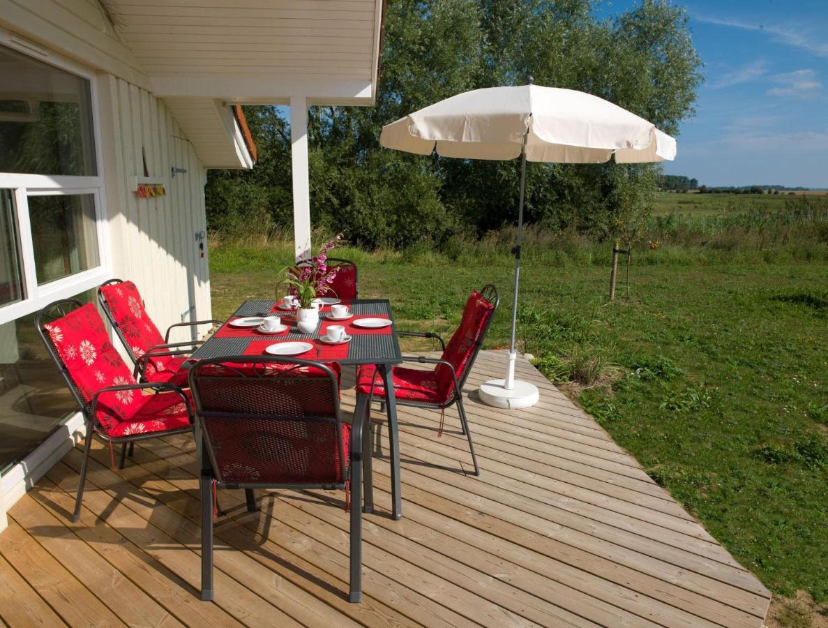 Daenische Ferienhaeuser Am Salzhaff Haus Vogelparadies Insel Poel Exterior photo